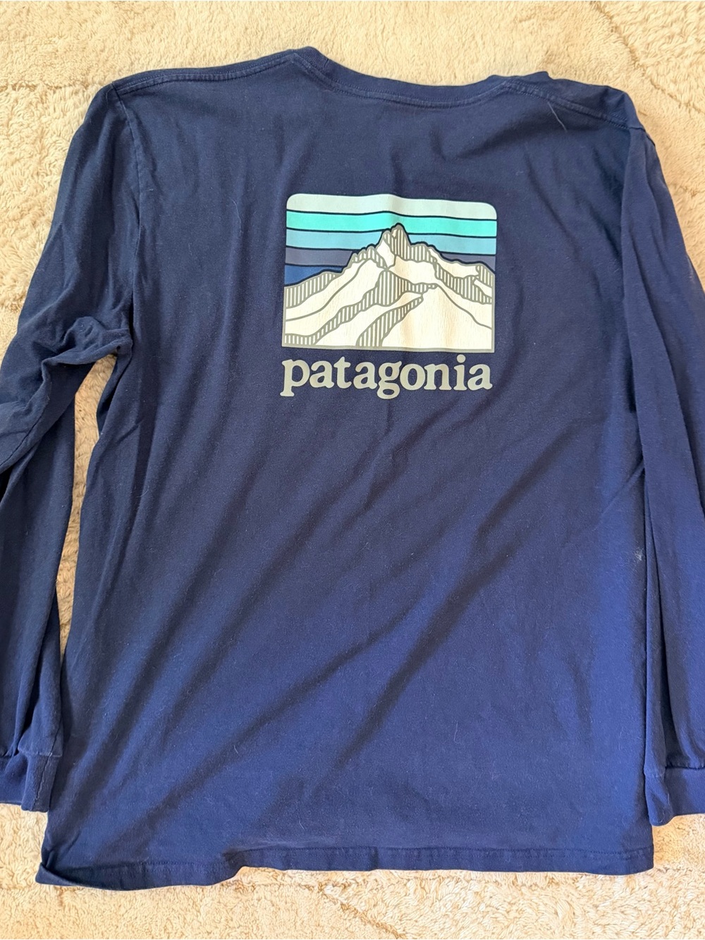 Patagonia Navy Long-Sleeve Tee with Mountain Graphic